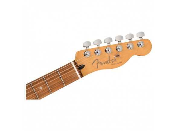 fender-player-plus-tele-silver-smoke_6155bad4d8550.jpg