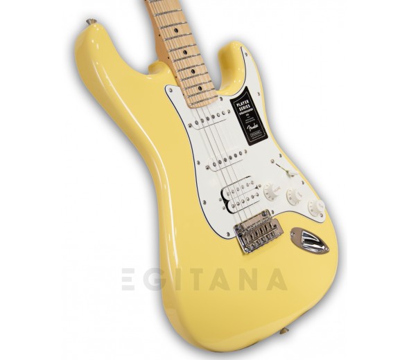 fender-player-series-strat-hss-mn-bcr_5fb6b9d761cd5.jpg