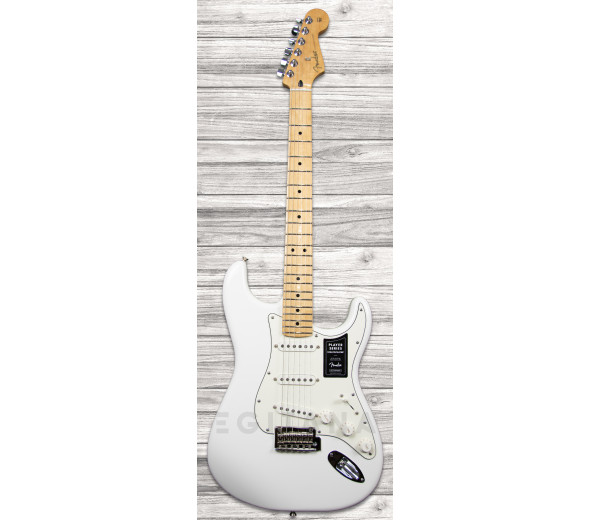 fender-player-series-strat-mn-pwt_6093bec49b3dc.jpg