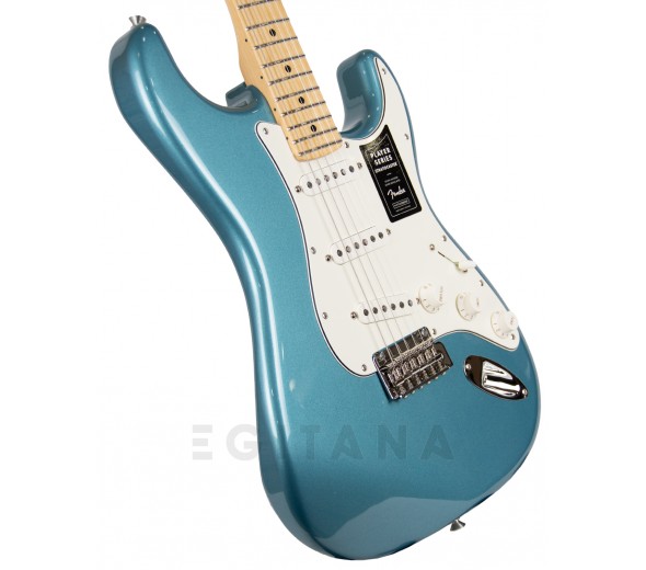 fender-player-series-strat-mn-tpl_5f97fe80add0f.jpg