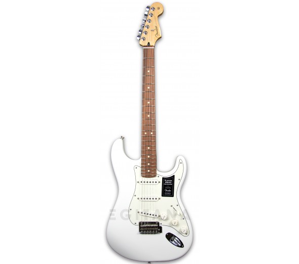 fender-player-series-strat-pf-pwt_5f9bf67d96d95.jpg