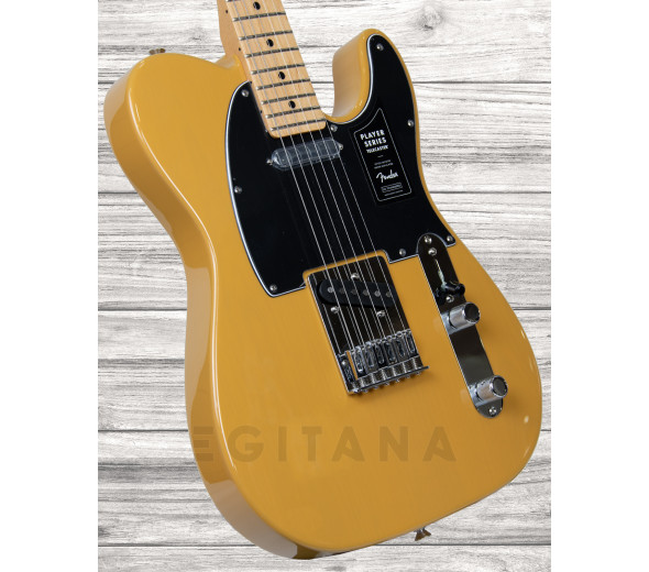 fender-player-series-tele-mn-btb_6093b81ab7637.jpg