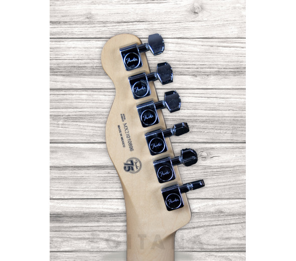 fender-player-series-tele-mn-pwt_6093c044bfd90.jpg