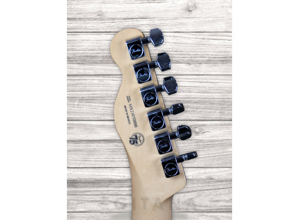 fender-player-series-tele-mn-pwt_63bd93572273a.jpg