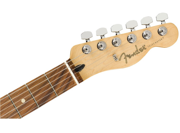 fender-player-series-tele-pf-pwt_6230b240181ad.jpg