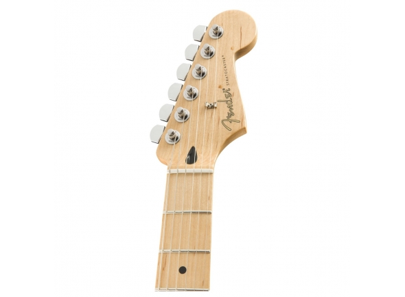 fender-player-stratocaster-mn-tidepool_5e1f1bfadb196.jpg