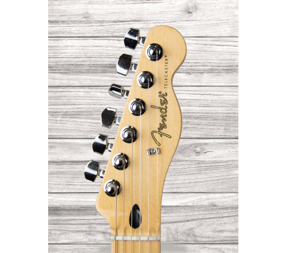 fender-player-tele-hh-mn-tpl_6093b19a47fc1.jpg