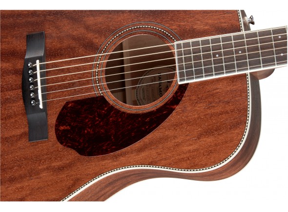 fender-pm-1-std-dreadnought-mah_5feb4e10bc06b.jpg