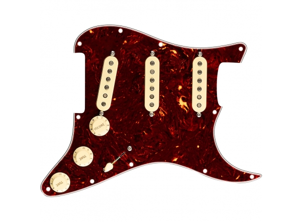 fender-pre-wired-st-pg-vintn-sss-tt_5e6b9f129f378.jpg