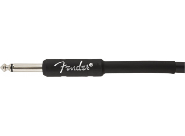 fender-professional-series-straight-angle-black-45m_620230f6843b2.jpg