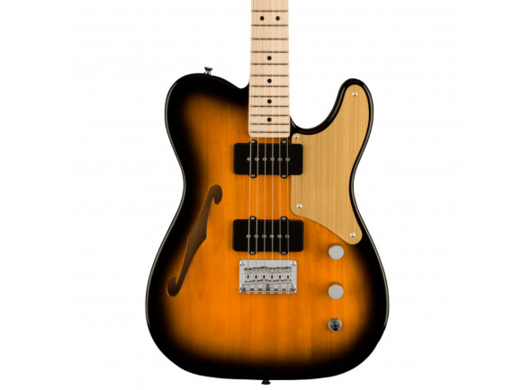 fender-squier-paranormal-cabronita-thinline-2-tone-sunburst_6143795bf1193.jpg