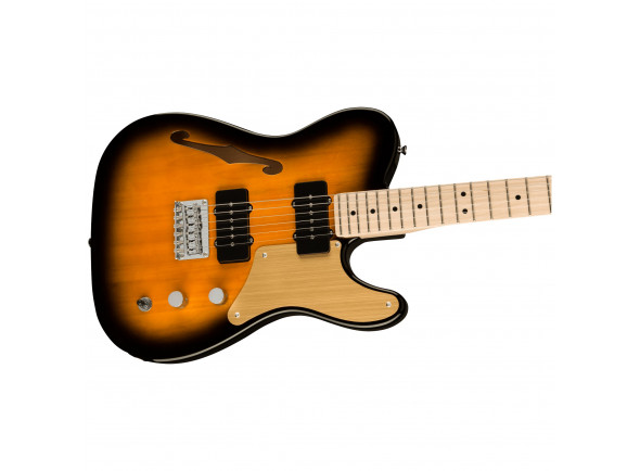 fender-squier-paranormal-cabronita-thinline-2-tone-sunburst_6143795eaae00.jpg