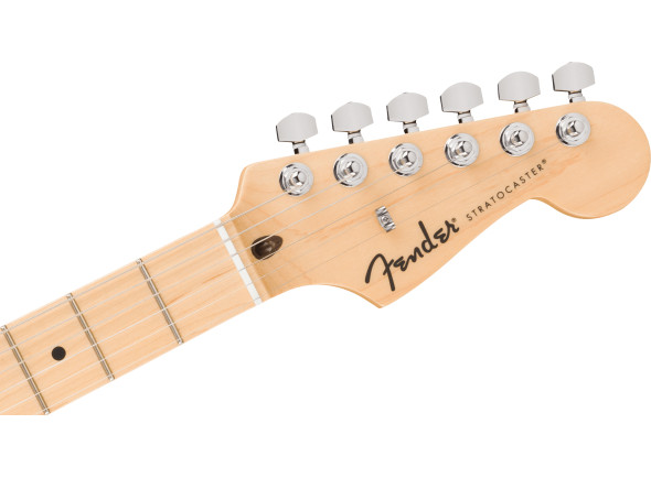 fender-standard-stratocaster-mn-black-pickguard-black_6acf5cc61a4b8.jpg