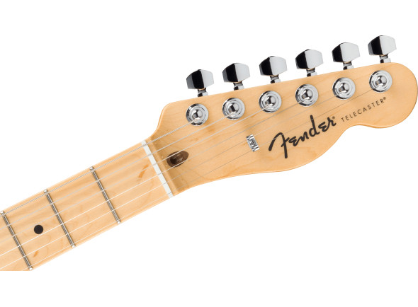 fender-std-tele-mn-bpg-btb_67926ef243fd5.jpg