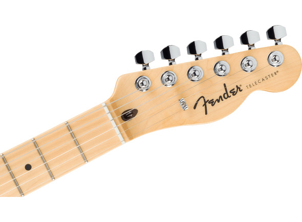 fender-std-tele-mn-wpg-amm_67926e2364325.jpg