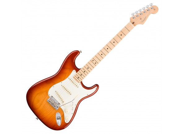 fender-stratocaster-american-pro-sienna-sunburst_58cfa2c126131.jpg