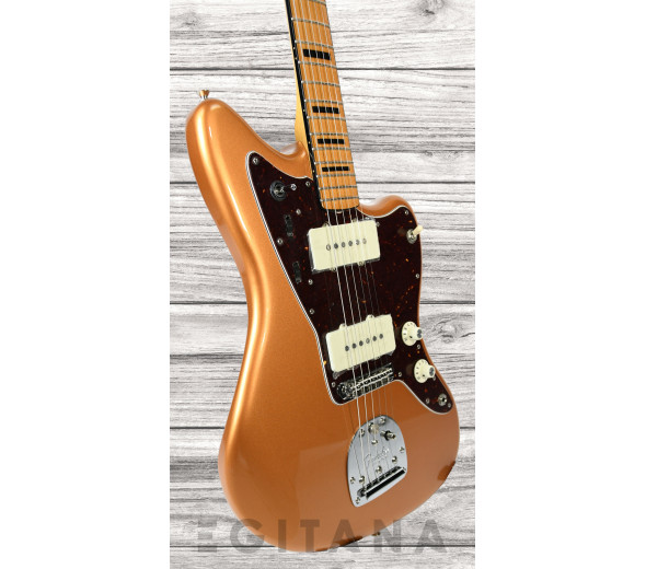 fender-troy-v-leeuwen-jazzmaster-mn_637ce33744e80.jpg