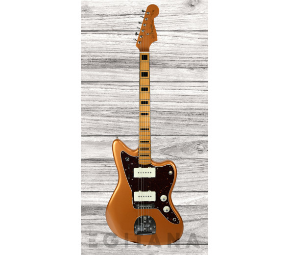 fender-troy-v-leeuwen-jazzmaster-mn_637ce33cd1309.jpg