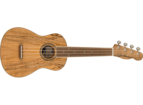 fender-zuma-concert-uke-spalted-maple_62b1f0fad8b5f.jpg