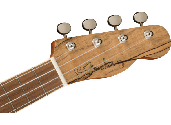 fender-zuma-concert-uke-spalted-maple_62b1f104da278.jpg