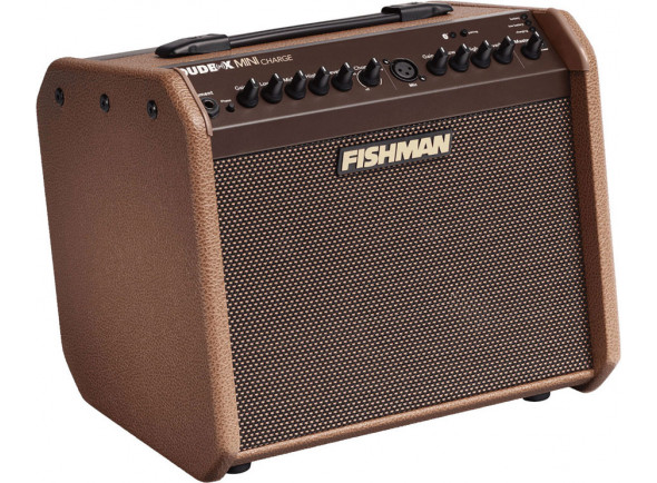 fishman-loudbox-mini-charge-60w-bluetooth_63d1605fde46a.jpg