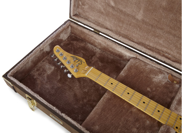 gator-deluxe-case-e-guitar-vintage_67d44a40bb015.jpg