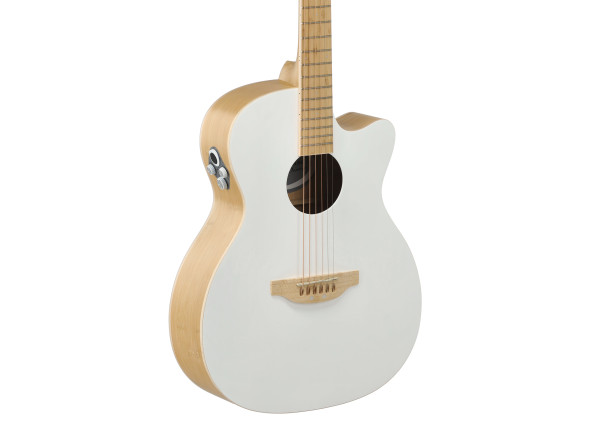 gewa-applause-guitare-electro-acoustique-jump-blank-canvas_68aedd0936e99.jpg