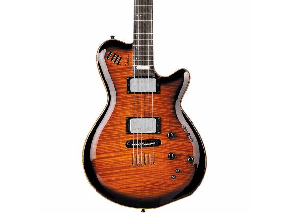 godin-lgx-sa-aaa-flamed-maple-top_5a9d75425381b.jpg