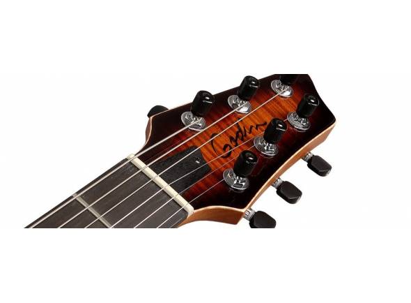 godin-lgx-sa-cognac-burst-flame-aa_5a9d75d438033.jpg