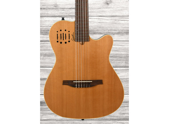 godin-multiac-encore_635a53b359196.jpg