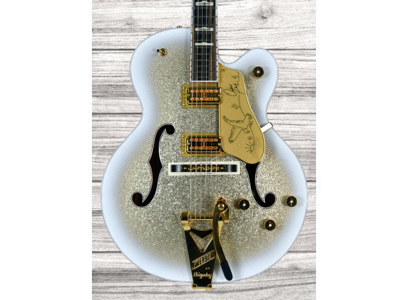 gretsch-g6136tg-op-limited-edition-orville-peck-falcon_6662c6ddbbe28.jpg