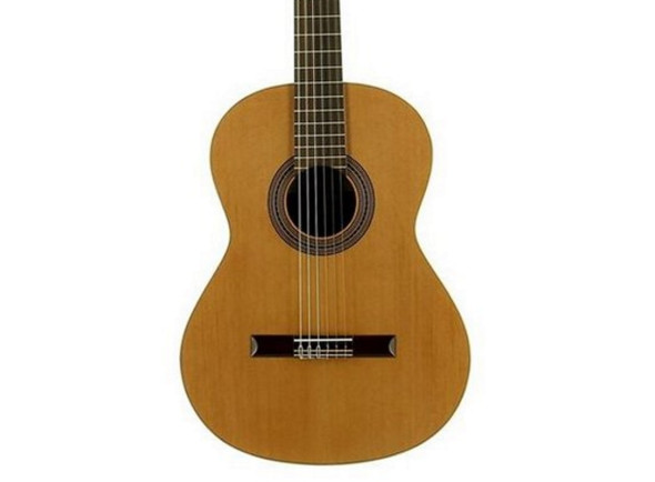 guitarra-classica-jose-torres-jtc-10_64d0c9bbd2ccb.jpg