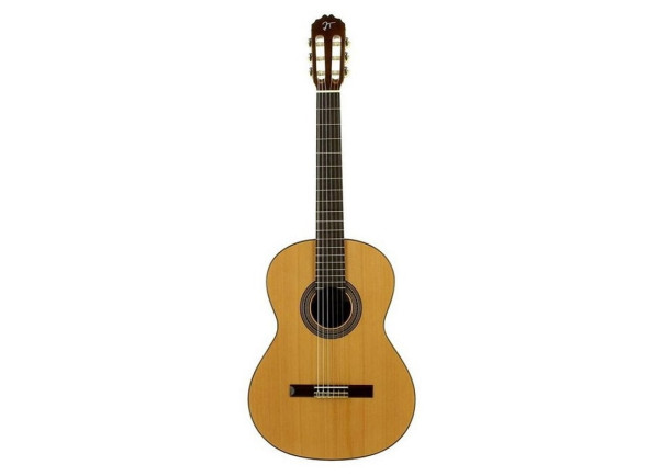 guitarra-classica-jose-torres-jtc-20_64d0cc903d28a.jpg