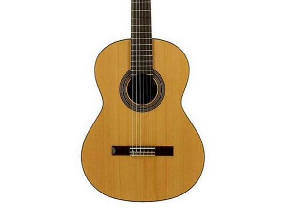 guitarra-classica-jose-torres-jtc-20_64d0cc909c7e1.jpg