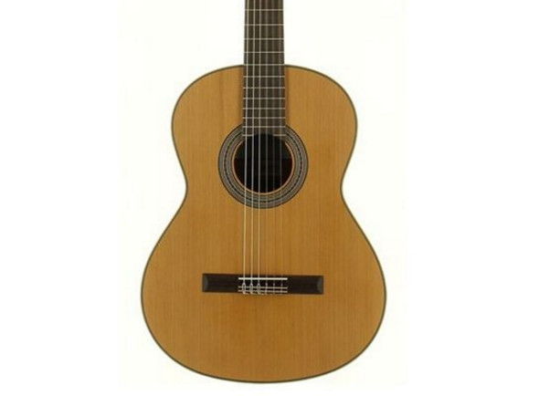 guitarra-classica-jose-torres-jtc-5s_64d0c7312f18c.jpg