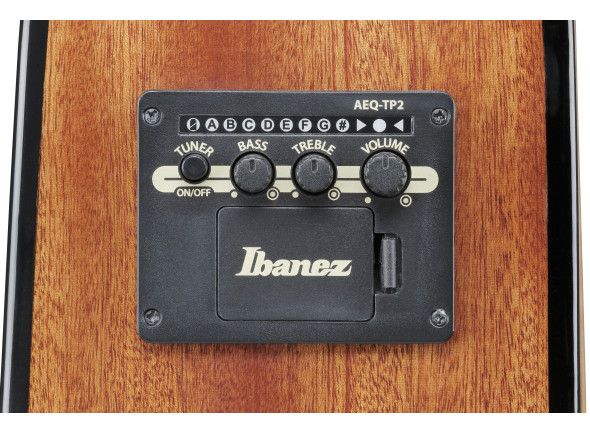 ibanez-aad51ce-dvs_696e471ae2a6a.jpg