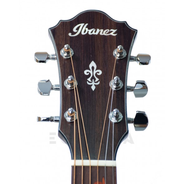 ibanez-ae295-lgs_5f05aa752ae58.jpg