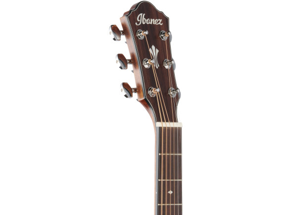 ibanez-aeg220-lgs_6405b0aae90ae.jpg