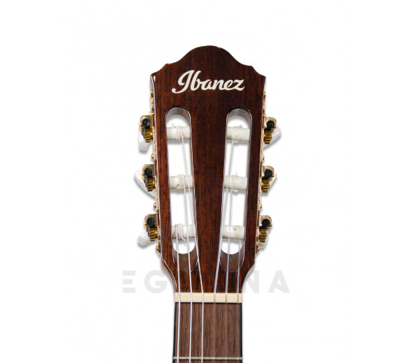 ibanez-aeg50n-nt-nylon_601035055610b.jpg