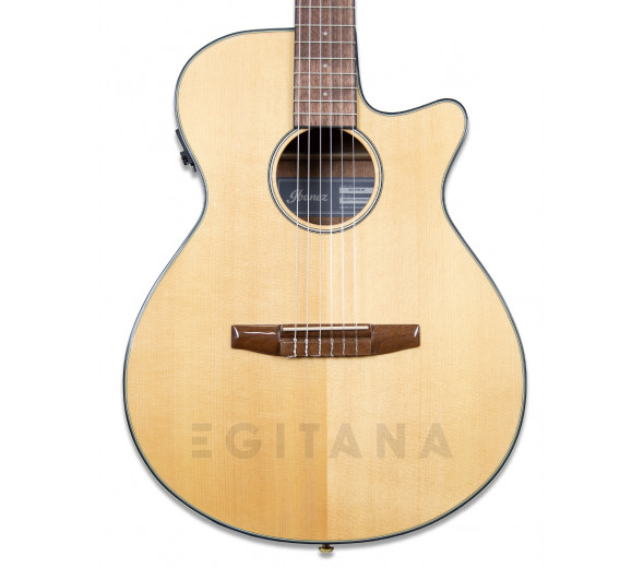 ibanez-aeg50n-nt-nylon_601035061ea23.jpg