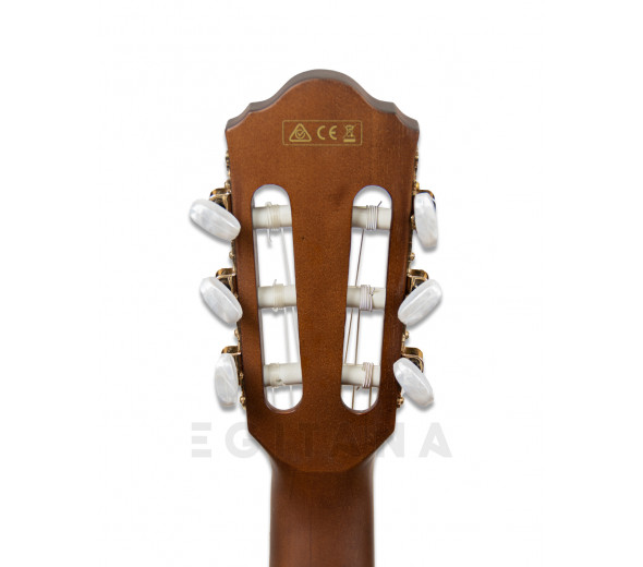 ibanez-aeg50n-nt-nylon_60103507d4066.jpg