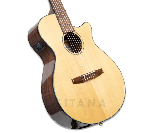 ibanez-aeg50n-nt-nylon_601035089ee8f.jpg