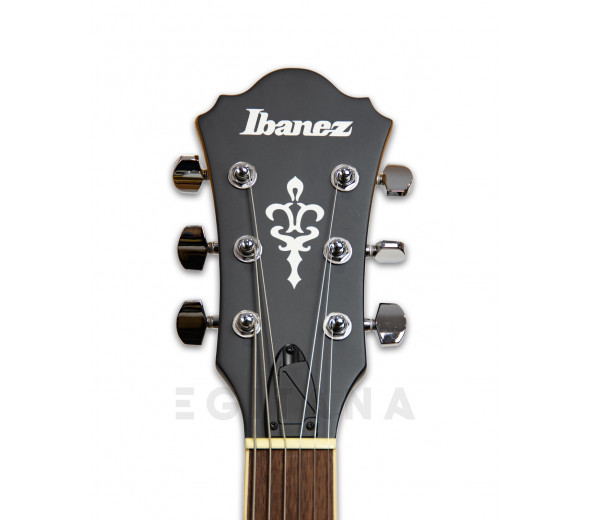 ibanez-af55-tf_5ffc6ec0cc9bd.jpg