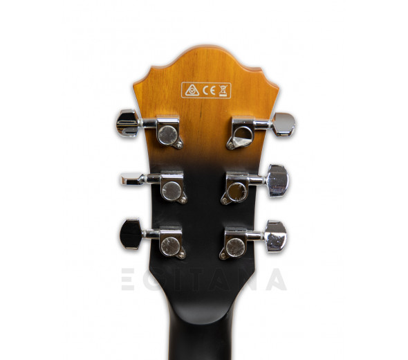 ibanez-af55-tf_5ffc6ec1a0402.jpg