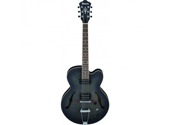 ibanez-af55-tkf_5f51149923923.jpg