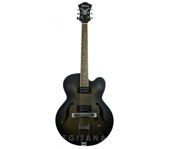 ibanez-af55-tkf_61235ee3d7e21.jpg