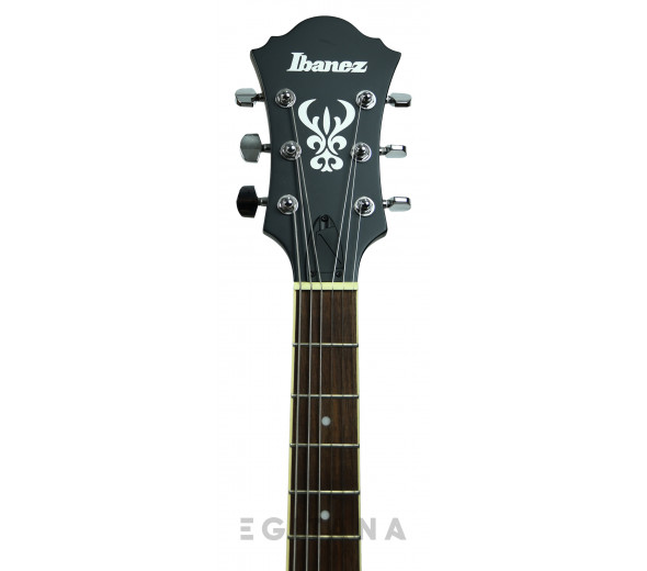 ibanez-af55-tkf_61235ee7a5076.jpg