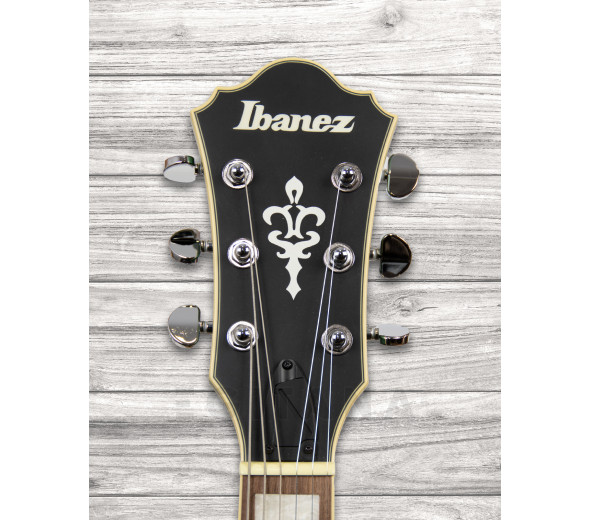 ibanez-afs75t-mgf_6093d26321230.jpg