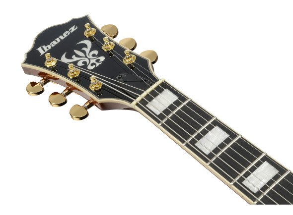 ibanez-ag95mg-artcore-expressionist-dark-amber_6978e734ec473.jpg