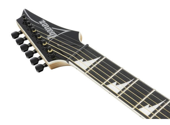 ibanez-alt50fa-bdb_6981c64e61163.jpg
